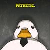 drmadd78
