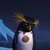 caleb.scheffe_backup
