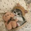 winda.cicih
