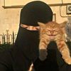 noorish263
