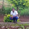 user8274080265244