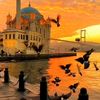turkish.lover60