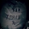 hamimidyahia263
