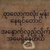 kokoe8246