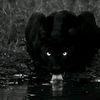 ___babazad17