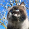 meeowwwww01