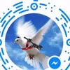 user8081361388197