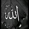 user2846916666615