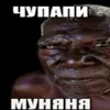 круги с приколом