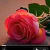 zaza80805