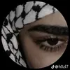 z_anin81