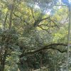tranthihongnguyen05