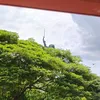 mauricio.fernande413