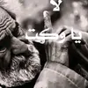 احلام  شايب