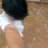 pandi0043