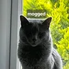 imnotnest05