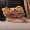 khongphaituongdau0