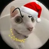 chris_to_slow17