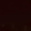 mariaflz00