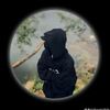 naimsr6