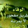 user9824423396511