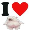 helen_twicee