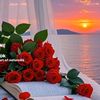 user85105573387940