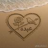 user4586876811653