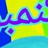 user917136339180