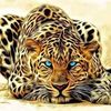 tarek.tarek7998