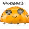 loganrrhwfx