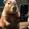 capibara1323