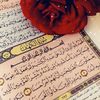 user3087373162806