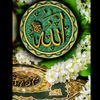 user2275418496580