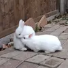 the.fluffies7