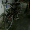 aliefeay668