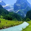 raman.sharafani8