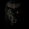 ayman003001