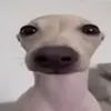 benjaaa2.20