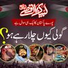 malik.hamza.razvi