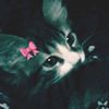 brooklyn_babyy4