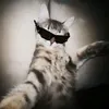 general_catyt7