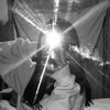 greis_3456