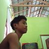 bangsal.exli