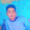 user33303430169375