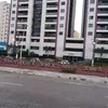 elenilcesouza430