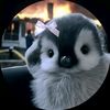 user.17821096