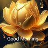 user20072624633316