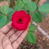 user3901614218463
