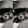 simply..stvrlightt